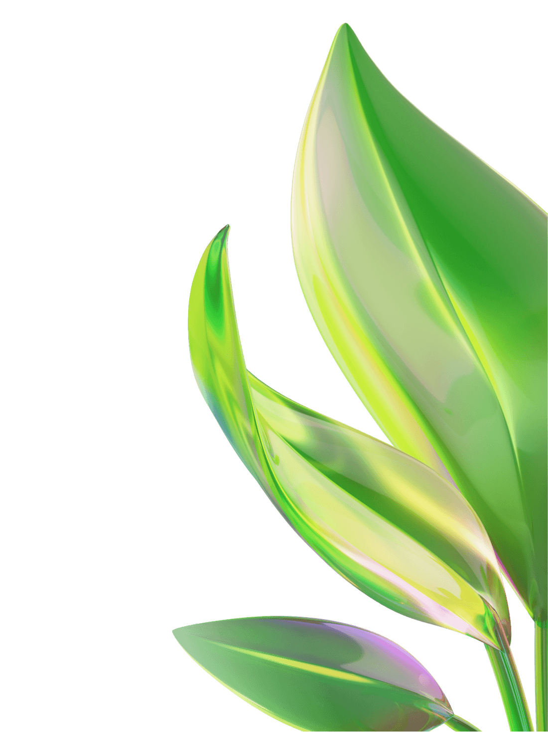 digital-product-and-marketing desktop