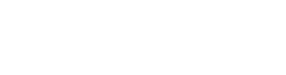 Adobe Gold Solutions Partner logo
