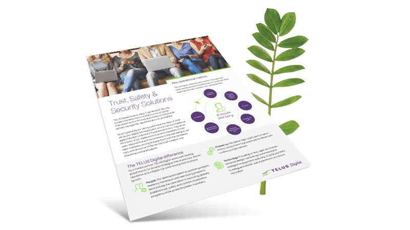 TI resource brochure port 800x450