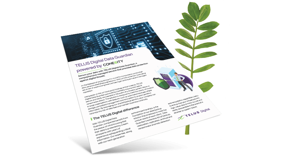 TI Resource Brochure Cohesity