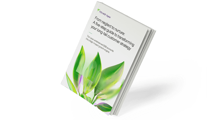 B2B Long-tail management guide - Preview Image