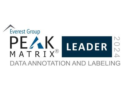 PEAK Matrix Data Annotation and Labeling Leader