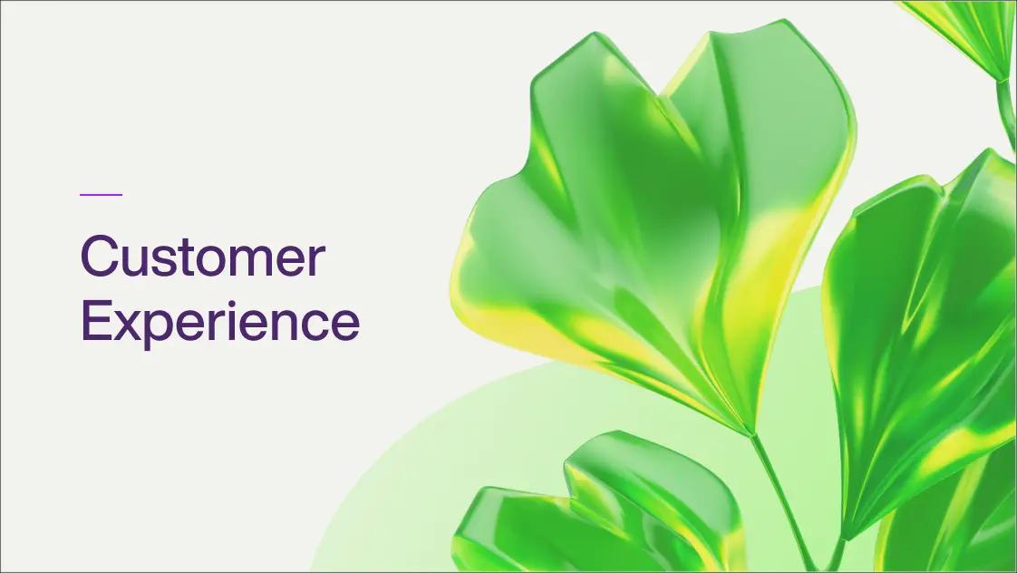 CustomerExperience GenericOG