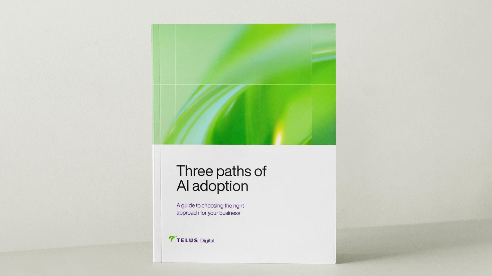 Three paths of AI Adoption