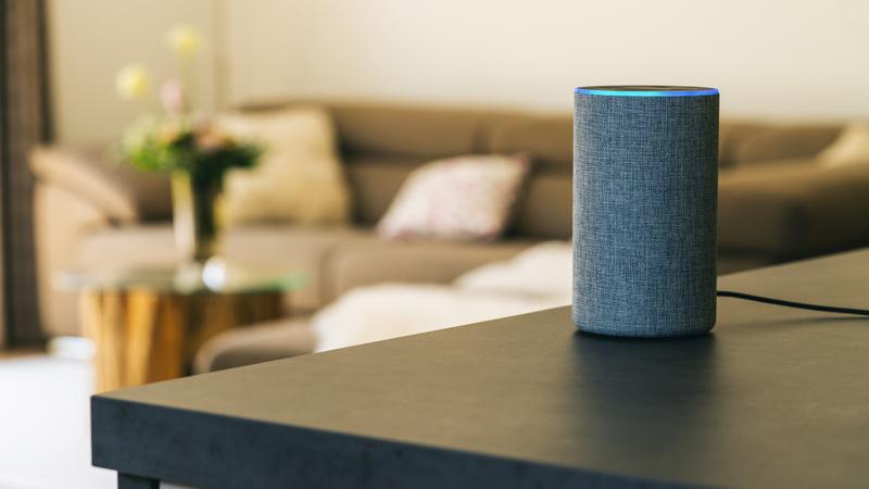 5 Text Annotation Services for Voice Assistants