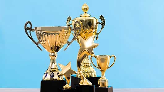 Trophies on a table.