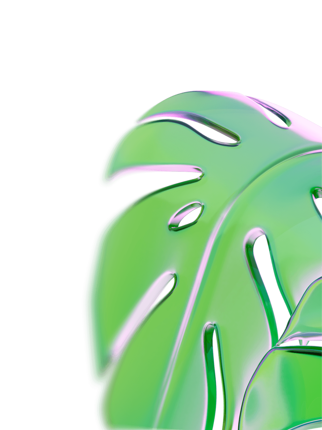 ai-customer-care desktop