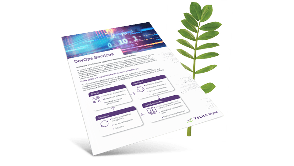 TI Resource Brochure-devops