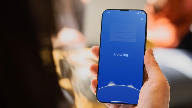 image-cf8933ea-67cb-4ec8-b609-f554084673a0