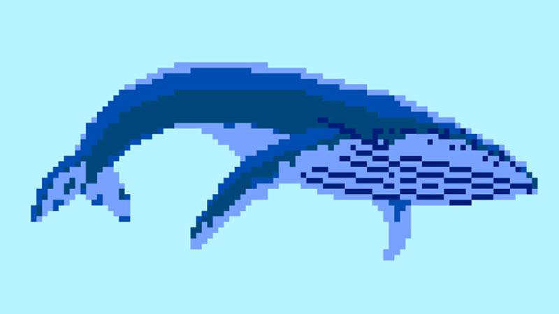 Catch-a-Whale