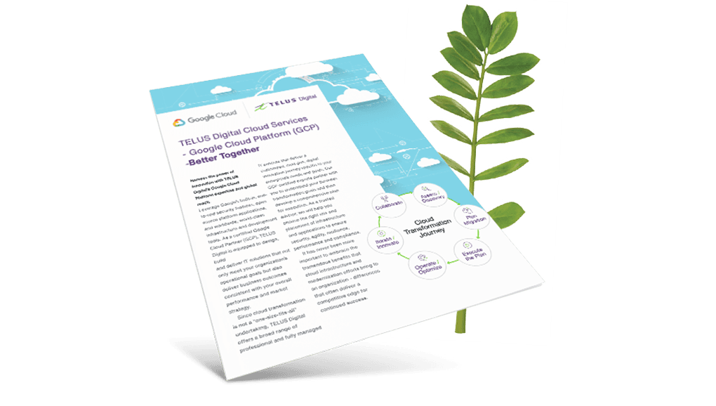 TELUS International Cloud Services - GCP